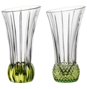 Набор ваз для цветов 13,6 см 2 шт  Nachtmann "Spring" / 295227