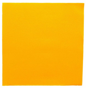 Салфетка бумажная 39 х 39 см двухслойная желтый 50 шт  Garcia De Pou "Double Point" / 317484