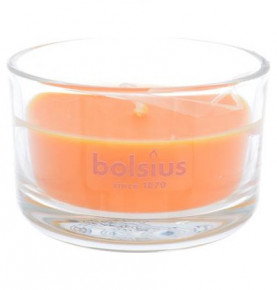 Свеча ароматическая 5 х 8 см в стекле "True scents /Манго /Bolsius" (время горения 13 ч) / 262609